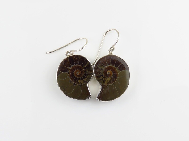 Sterling Silver, Fossil Shell, Dangle Earrings SSE-152