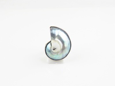 Sterling Silver, Grey Color, Nautilus Shell Ring SSR-118