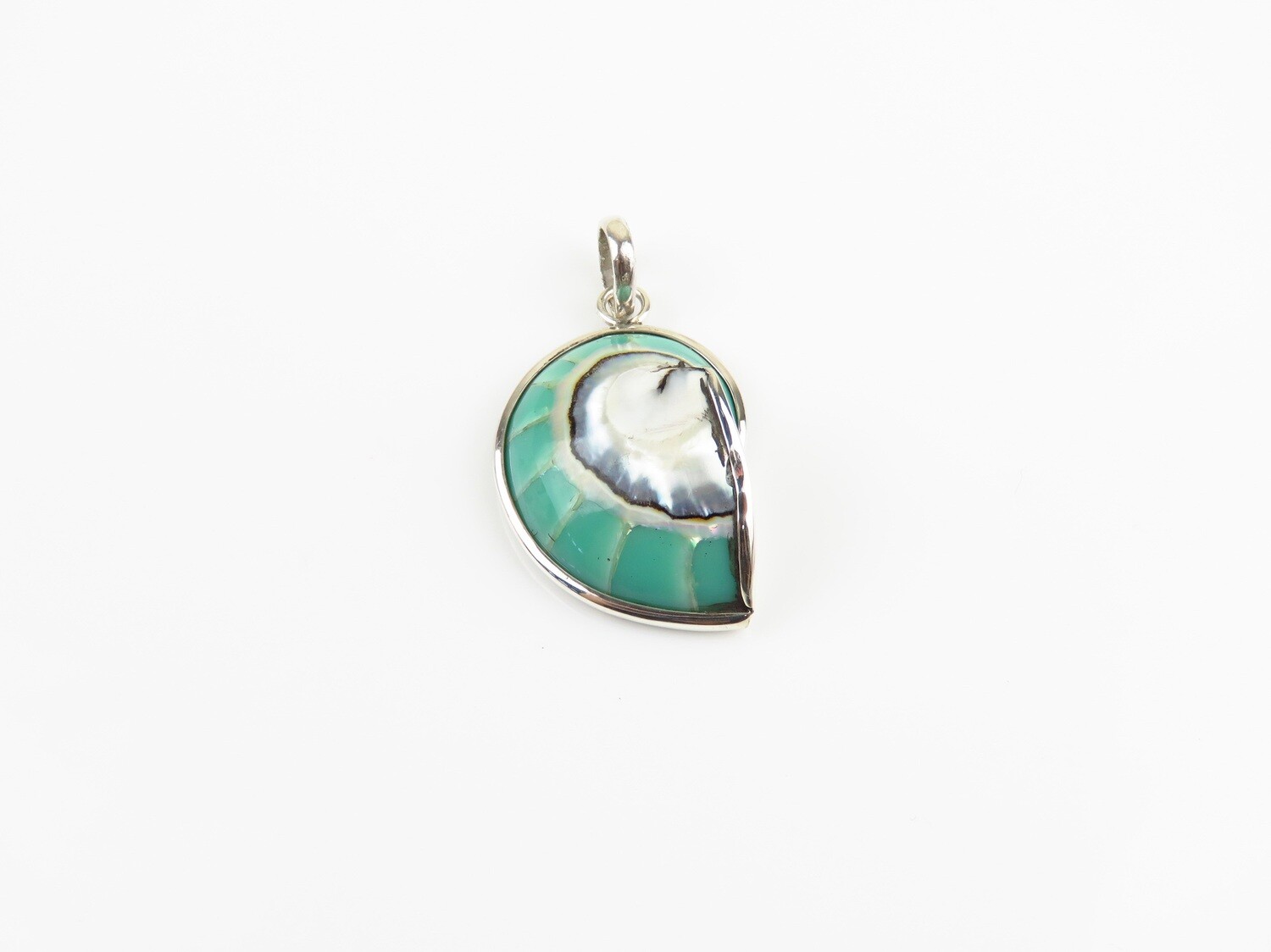 Sterling Silver, Turquoise Color, Nautilus Shell Pendant SHP-183