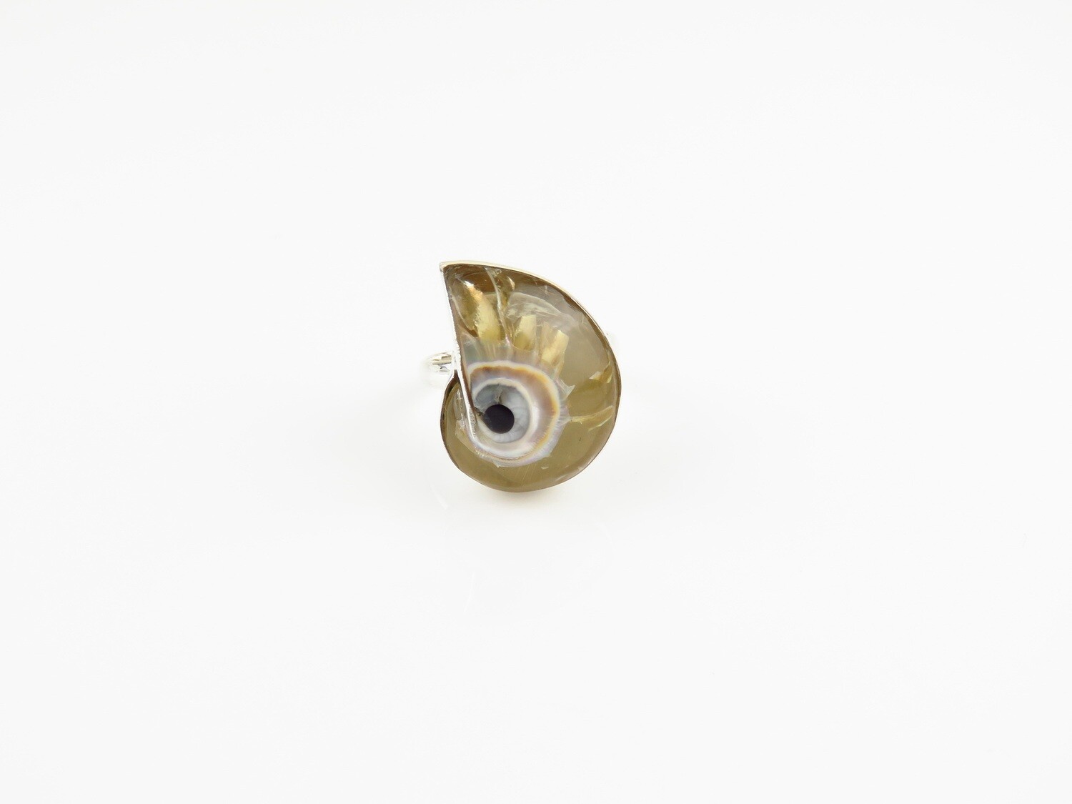 Sterling Silver, Nautilus Shell Ring SSR-122