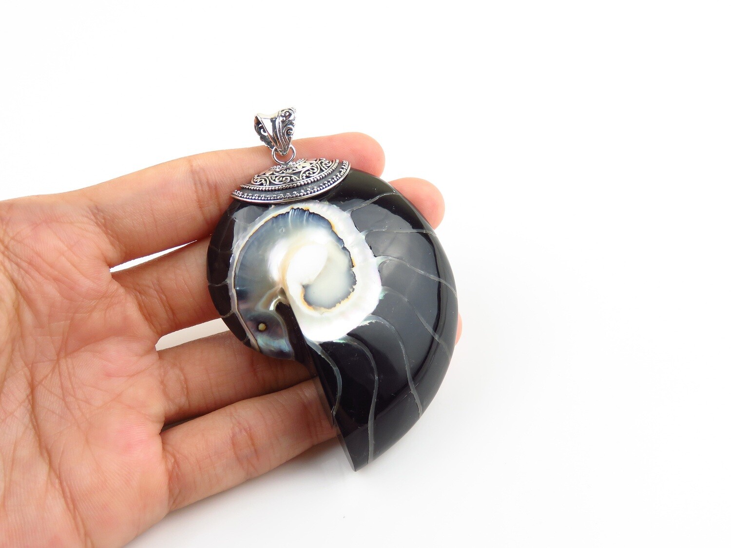 Sterling Silver, Black Colour , Nautilus Shell Pendant SHP-185