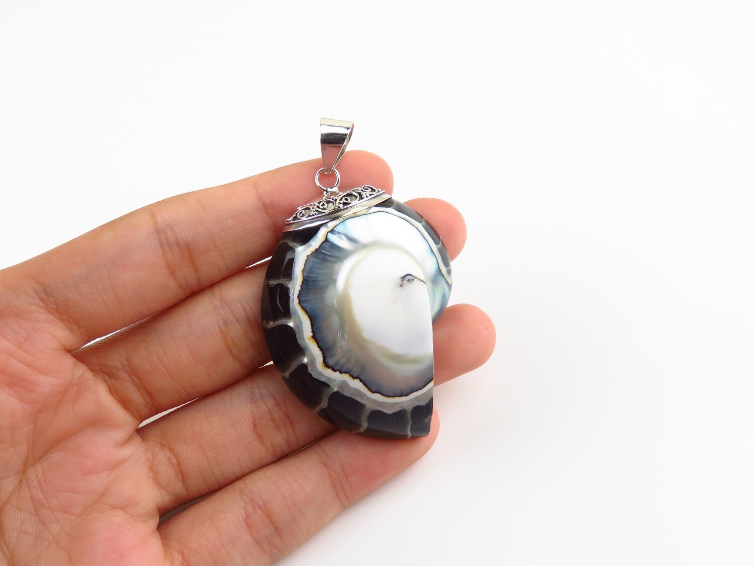 Sterling Silver, Black Colour, Nautilus Shell Pendant SHP-189