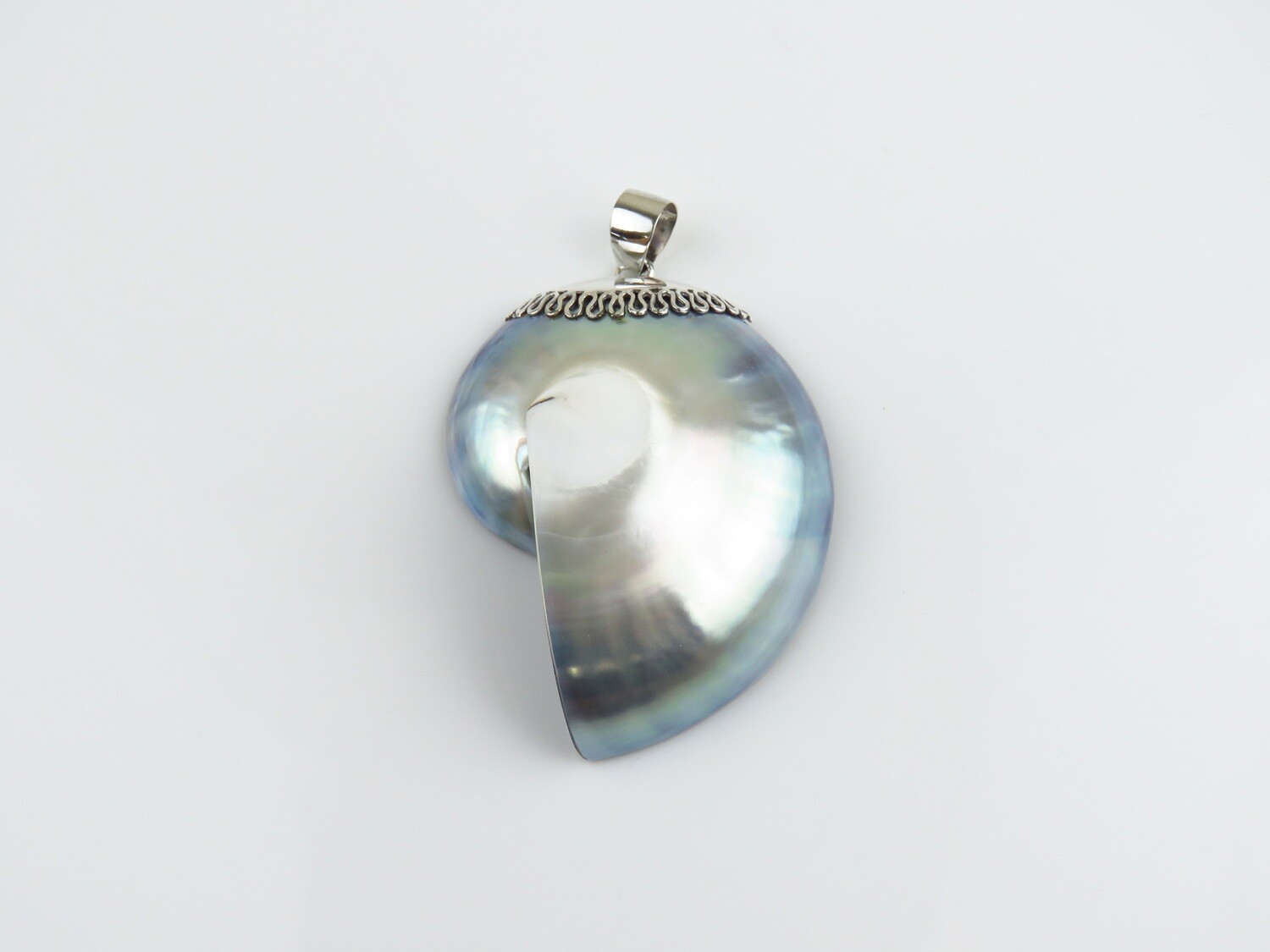 Sterling Silver, Gray Colour , Nautilus Shell Pendant SHP-211