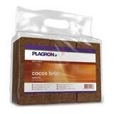 PLAGRON COCO BRICKS