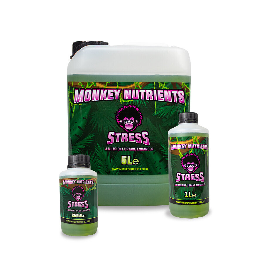 Stress 1L