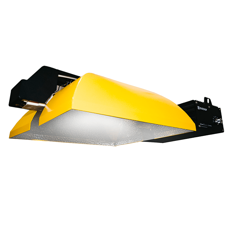 KIMURA 1000W