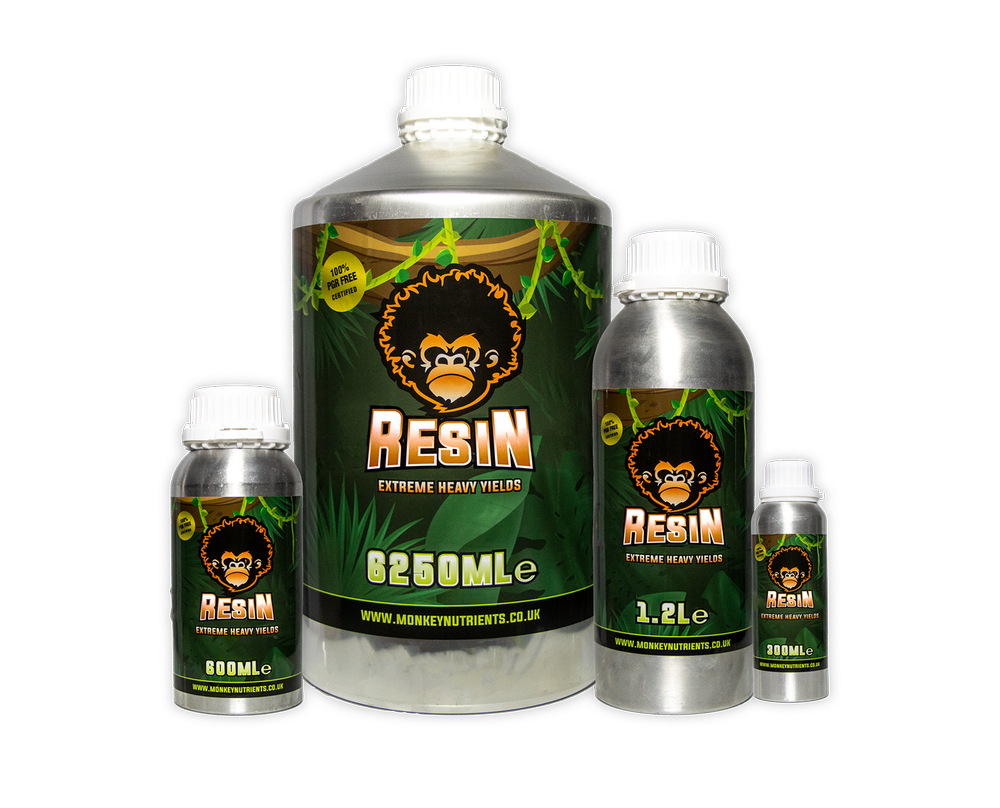 Resin 1.2L