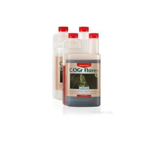 CANNA COGR FLORES B