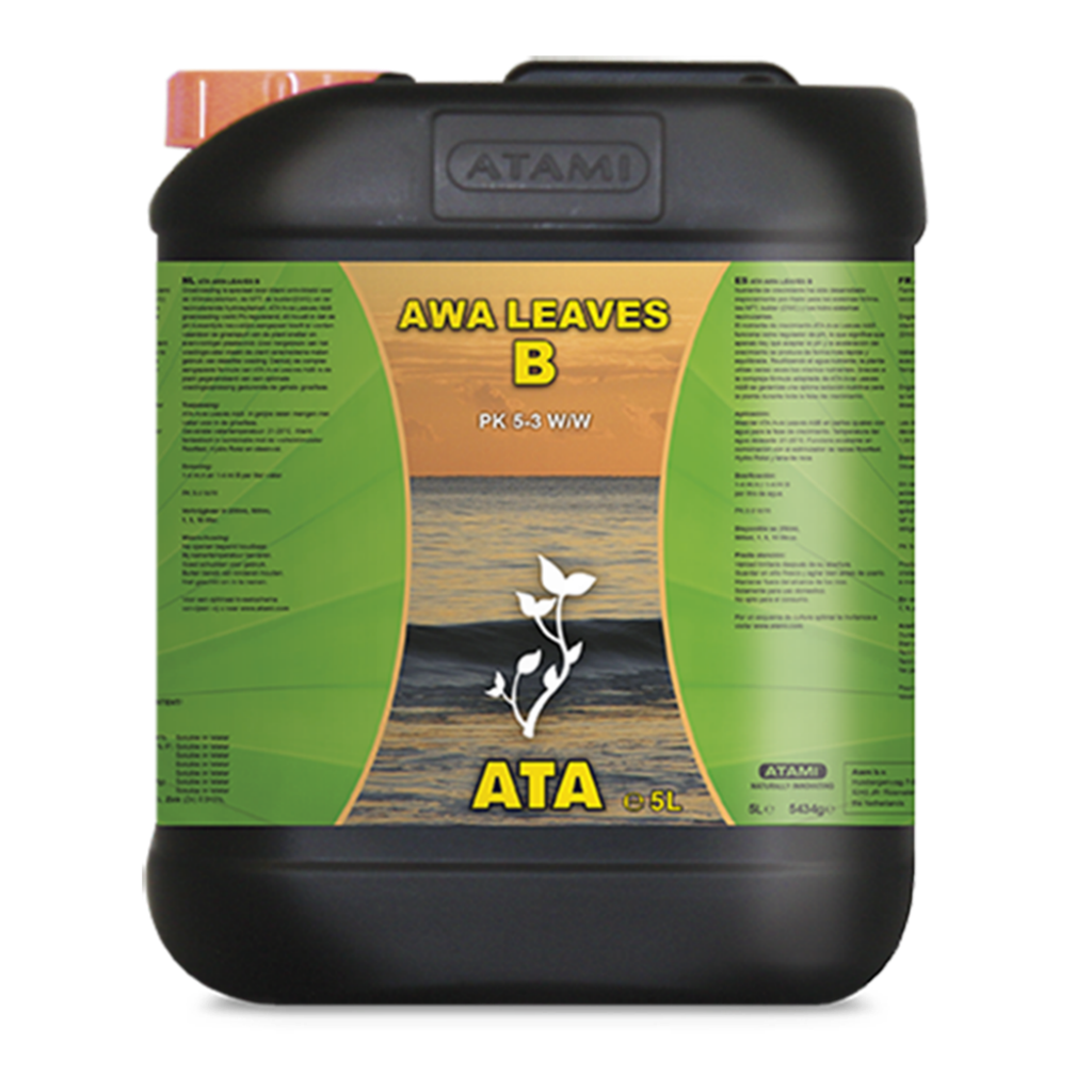 ATAMI ATA AWA LEAVES B (1L A 5L)