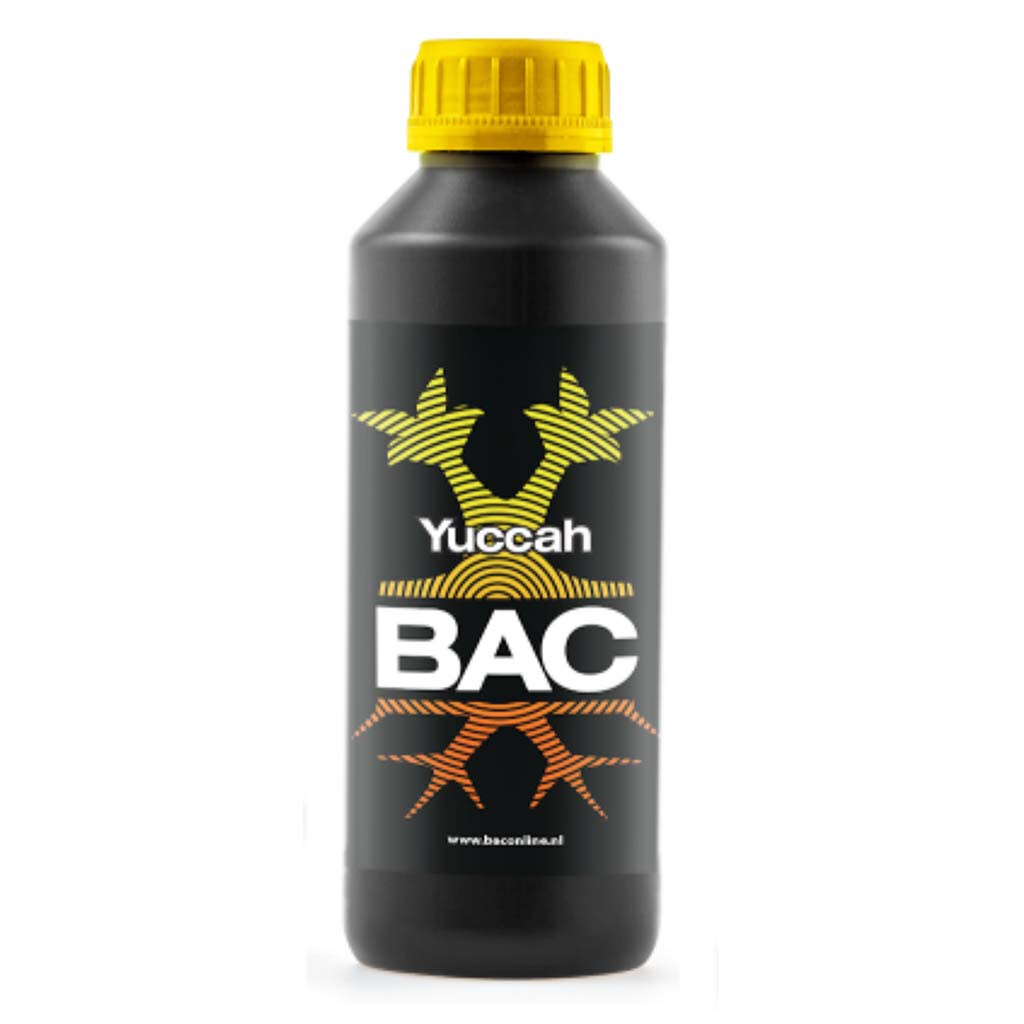 B.A.C. YUCCAH