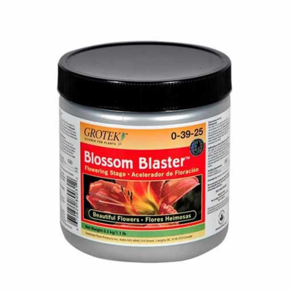 GROTEK BLOSSOM BASTER (20 G - 1 KG)