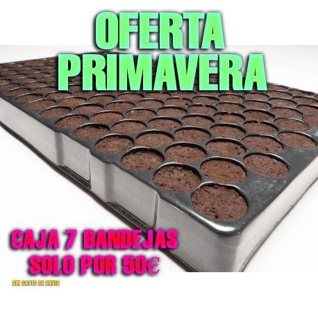 JIFFY CAJA 7 BANDEJAS