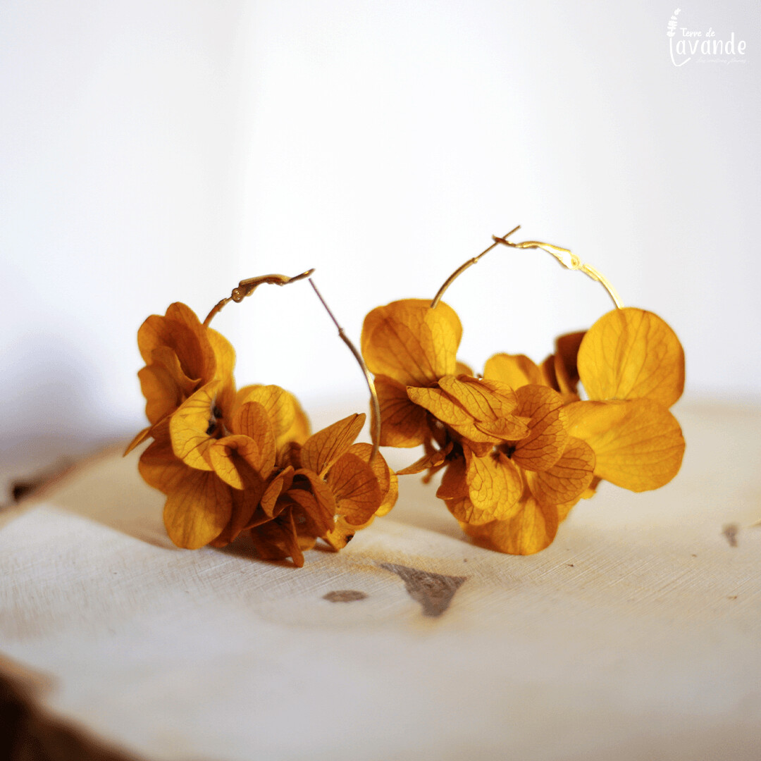 Créoles en fleurs séchée - Hortense Safran