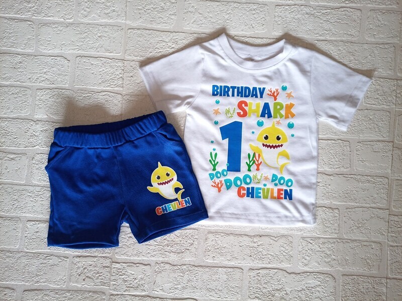 Boys Shorts and Tshirt set