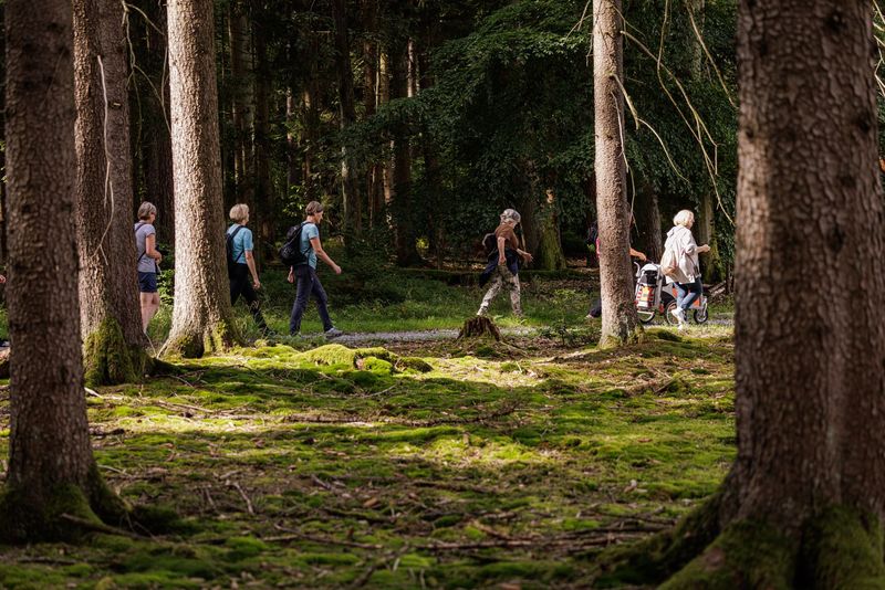 Kräuterzauber: Natur zum Anfassen und Schmecken mit herrlichem Kräutersalat