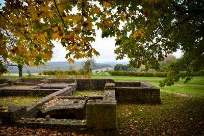 Römer erleben, Natur spüren: Barfuß an der Haselburg Römer erleben, Natur spüren: Barfuß an der Haselburg