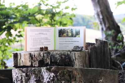 Gutscheine für eine Freizeitkategorie