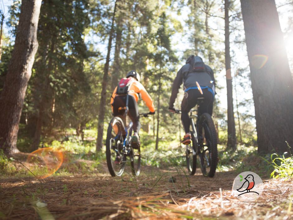 E-Bike Radtour Trail Experience Odenwald 2 Personen Premium Gutschein