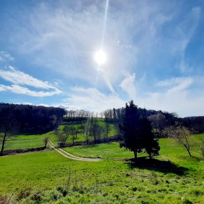 E-Bike Radtour Panorama Sonnenuntergangs Tour für 2 Personen Premium Gutschein