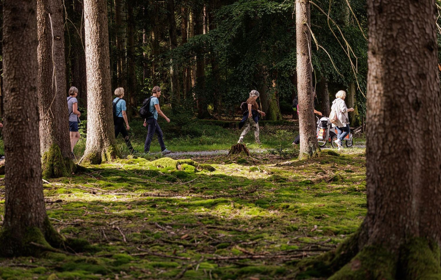 Mission Kuralpe - Odenwald erleben, Rätsel lösen, Abenteuer spüren