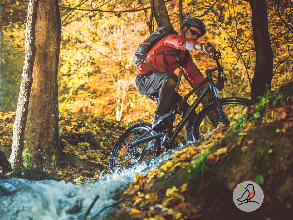 Über die Mossauer Höhe zum Krähberg – Geführte E-Bike-Tour Über die Mossauer Höhe zum Krähberg – Geführte E-Bike-Tour