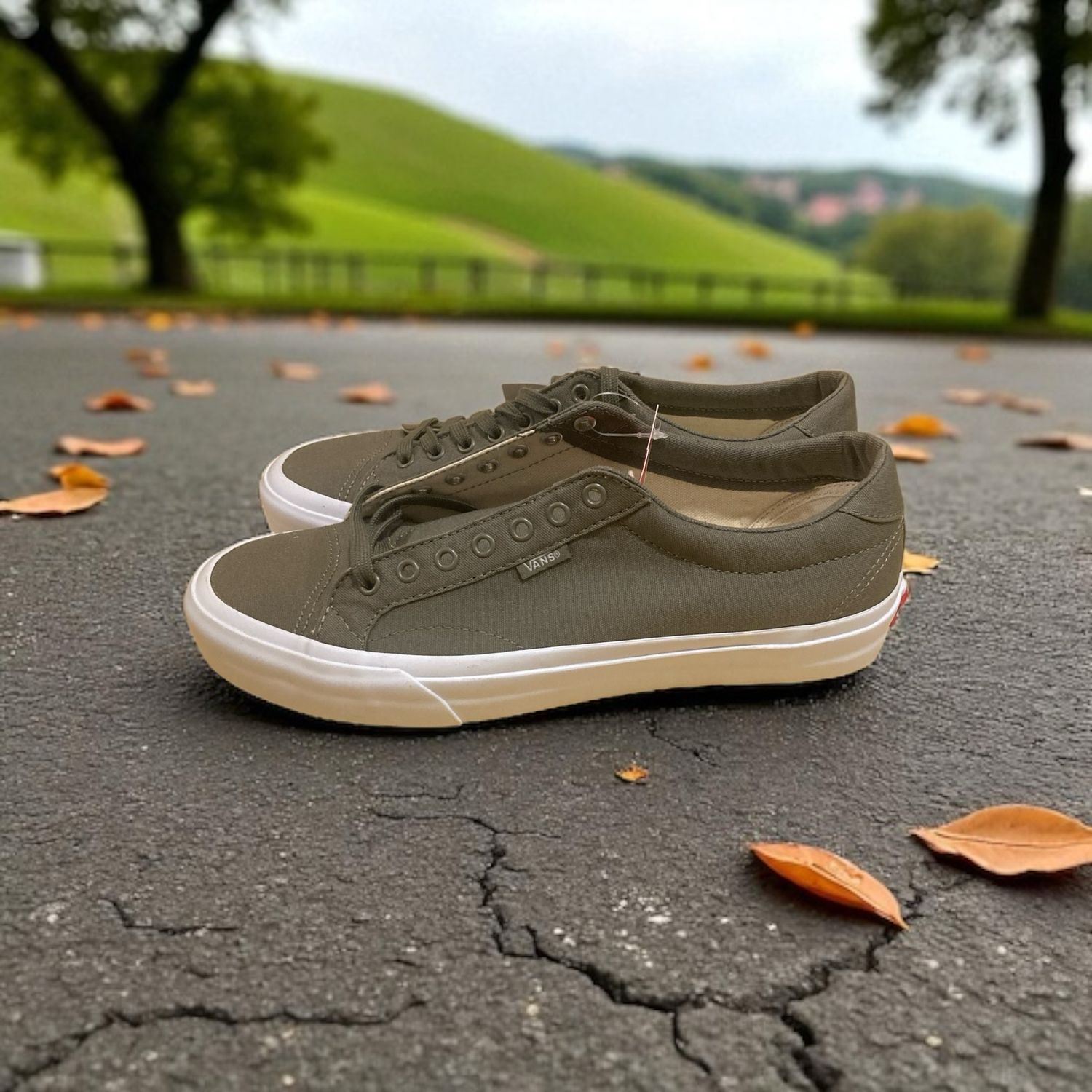 Vans sneakers