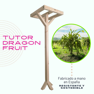 TUTOR DRAGON FRUIT