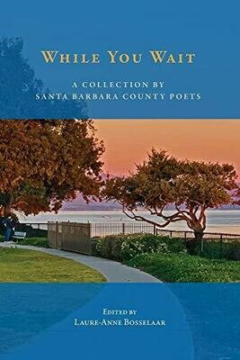 While You Wait: A Collection of Santa Barbara Poetry