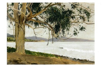 Coastal Eucalyptus, Lockwood de Forest Postcard