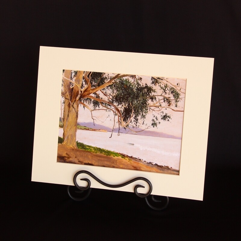 Coastal Eucalyptus, Lockwood de Forest Matted Print