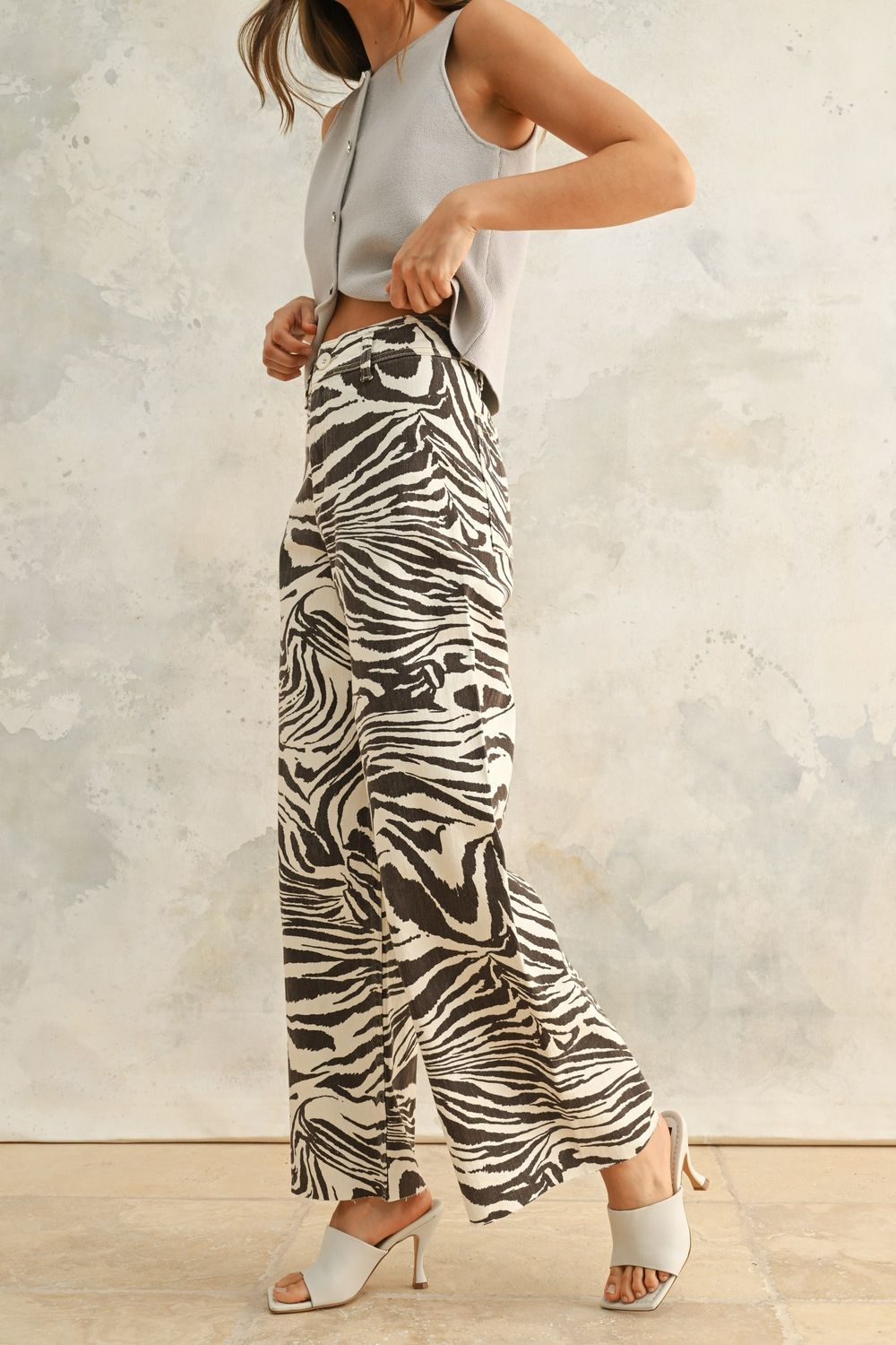 Zebra Crazy