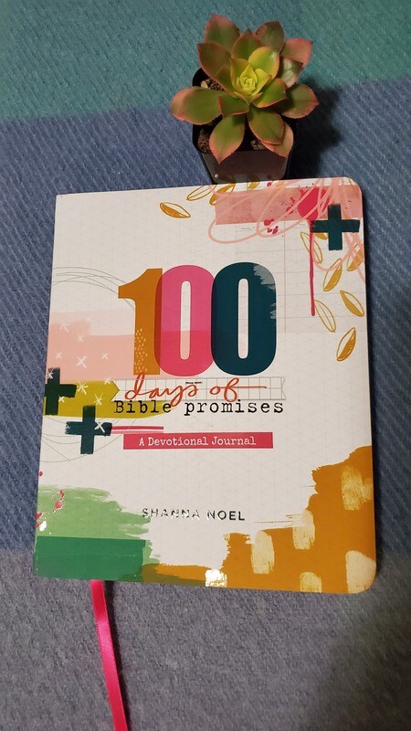 100 Days of Bible promises...A devotional Journal