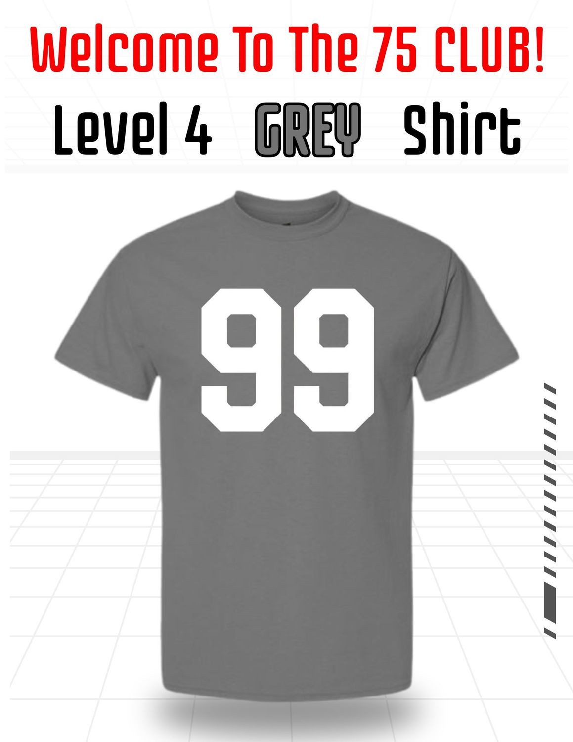 Level 4 Grey Shirt