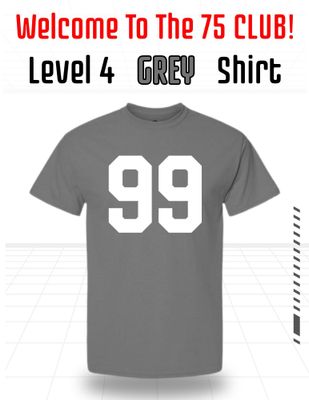 Level 4 Grey Shirt Level 4 Grey Shirt