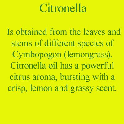 Citronella