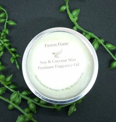 Silver travel tins