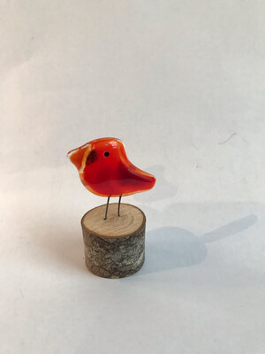 Kiln- Glass Cardinal