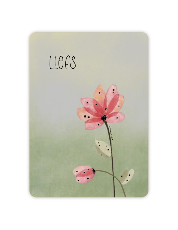Liefs
