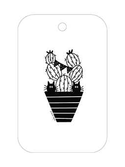Cadeaulabeltje kattentweeling in de cactuspot