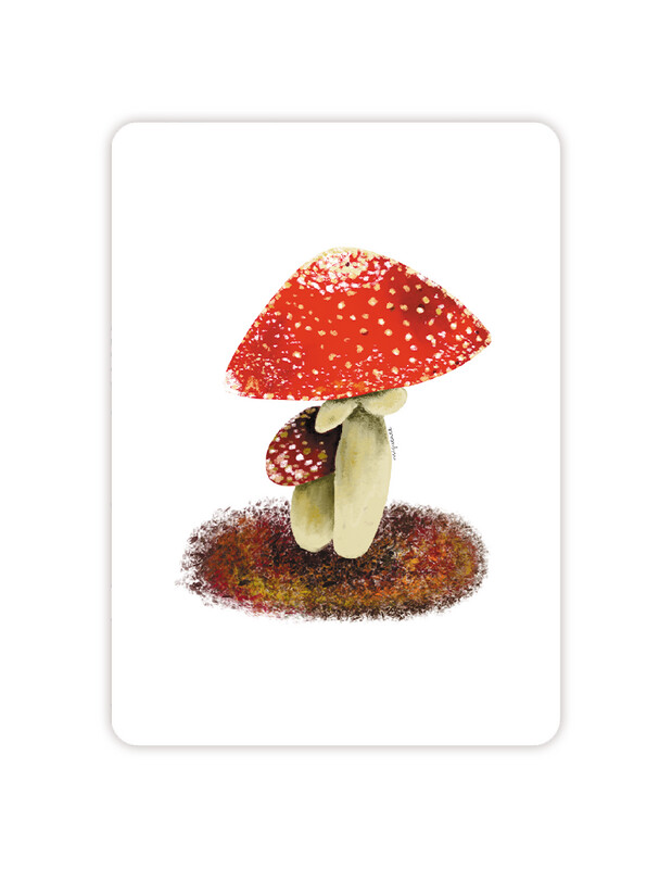 Paddenstoelen
