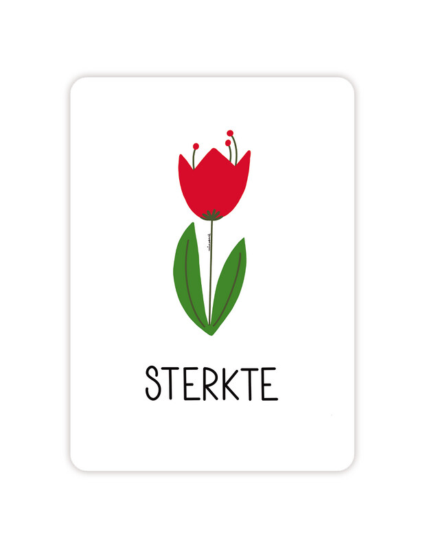 Braille Sterkte