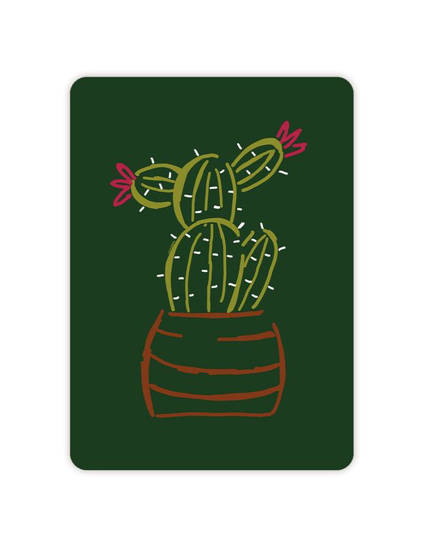 Cactus Cactus