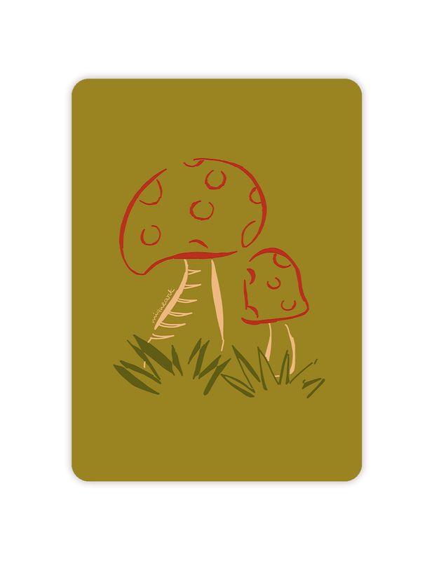 Paddenstoelen in het gras