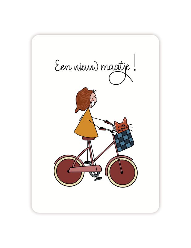 Een nieuw huisdier kat