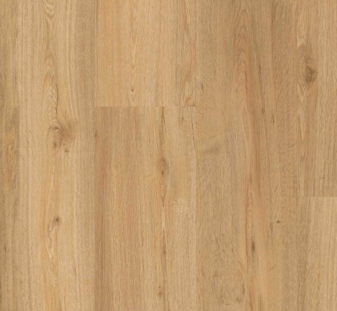 Click Vinylboden Parador Basic 4.3 Eiche natur Landhausdiele 21,90€/m²