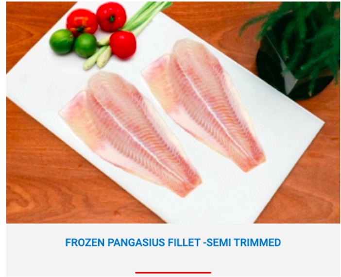 FROZEN PANGASIUS FILLET, SEMI TRIMMED