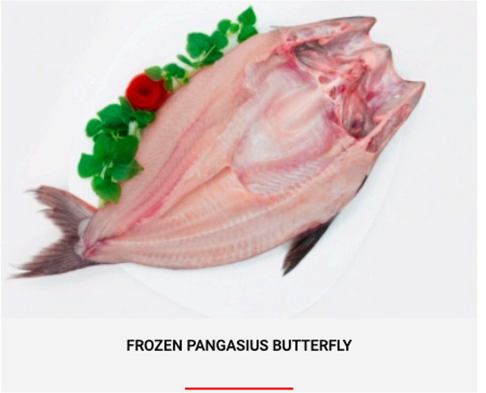FROZEN PANGASIUS BUTTERFLY