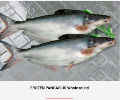 FROZEN PANGASIUS WHOLE ROUND / HEAD-OFF