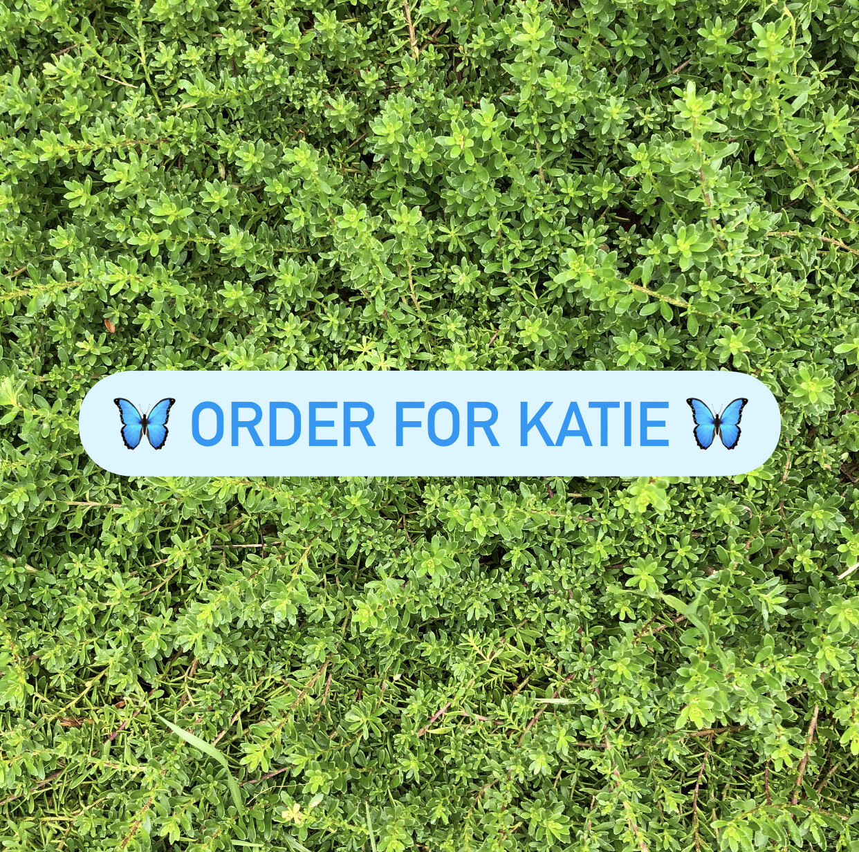 Z. Order for Katie