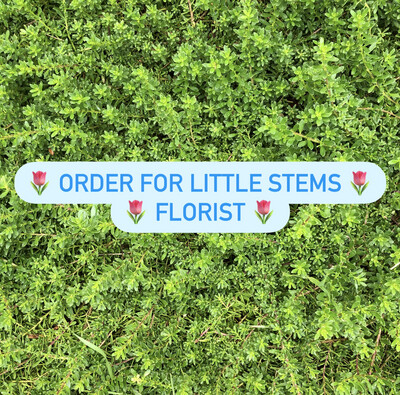 Order for Little Stems Florist